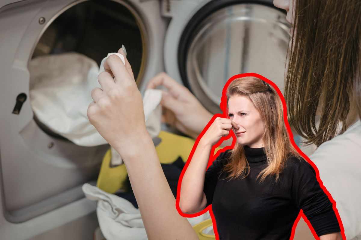 se ti puzzano i vestiti dopo l'asciugatrice ecco il motivo
