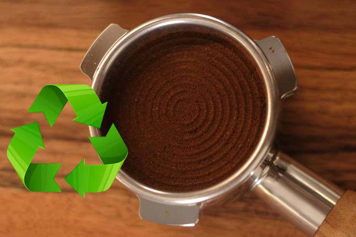 riciclare fondi di caffè dagli scrub per il corpo alle pulizie