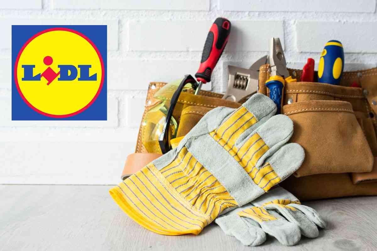 strumenti lavoro offerta lidl